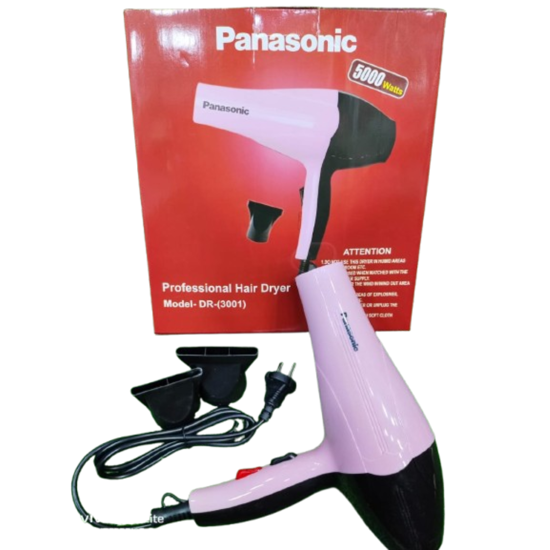 Panasonic Professional Hair Dryer