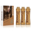 BK Keraplex Brazilian Keratin Botox Kit